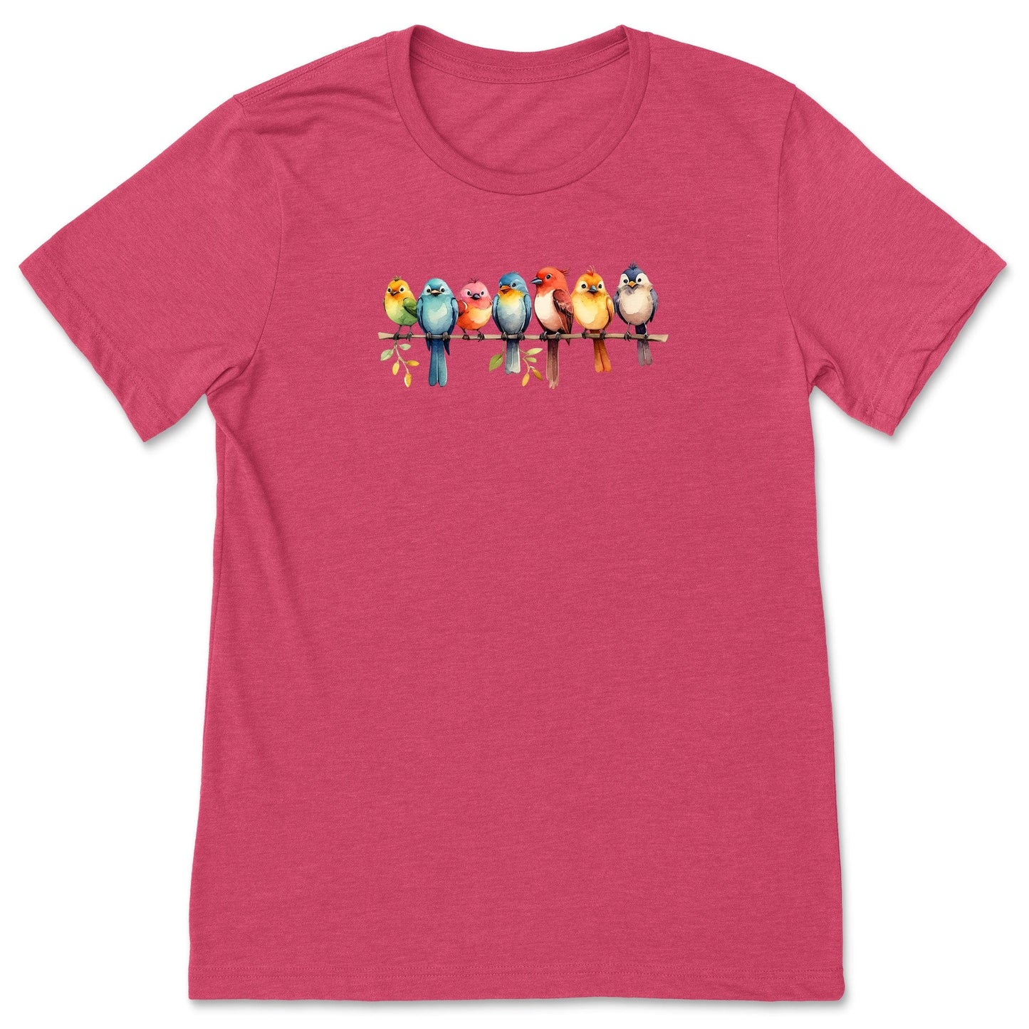 Heather Raspberry bird t-shirt for nature lovers and birders, that has a row of colorful birds sitting on a branch.
