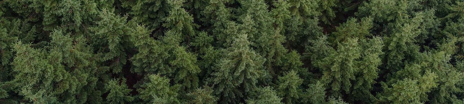 A aerial photograph of a forest full of evergreen trees for Oakstone Five's Frequently Asked Questions page.